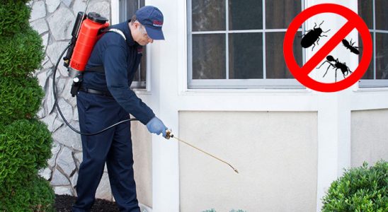 Kızıltepe Kemirgen İlaçlama böcek ilaçlama ve haşere kontrolü — ilaclama-tr.com